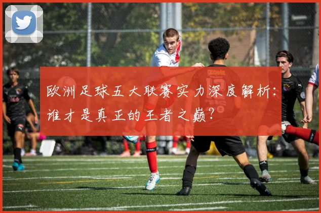欧洲足球五大联赛实力深度解析：谁才是真正的王者之巅？