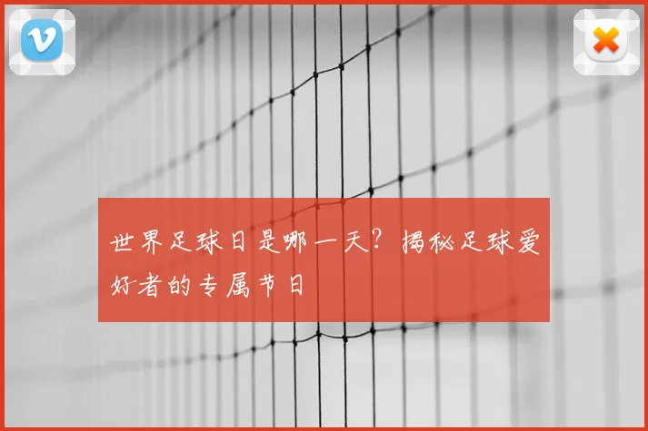 世界足球日是哪一天?揭秘足球爱好者的专属节日